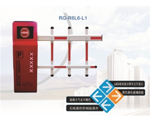R6自动挡车器系列