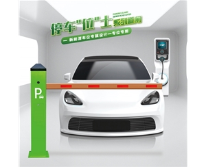 RG-CW系列车位小道闸